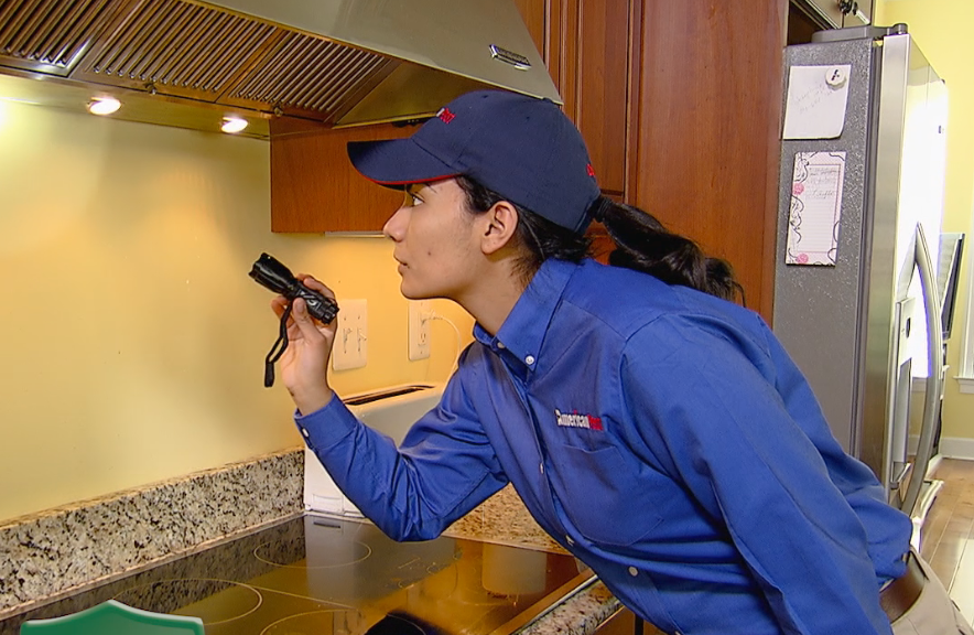 pest-control-technician
